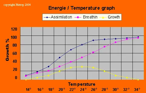 Temperatura / Energia în creștere